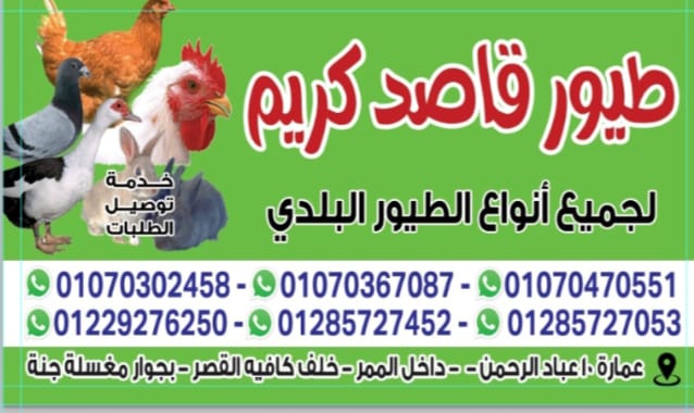 جزارة الحلال